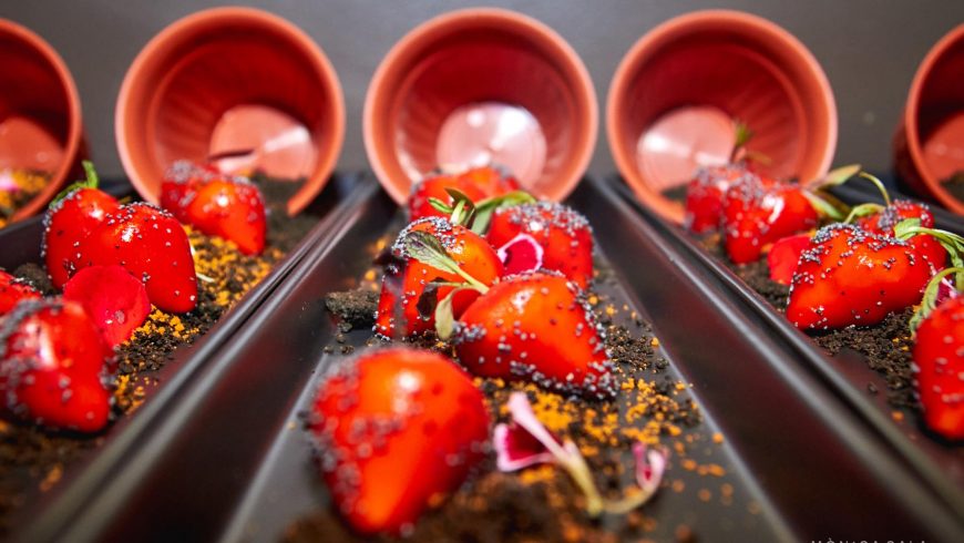 Toño Rodriguez pone el broche de oro a los Talleres Huesca la Magia de la Gastronomía