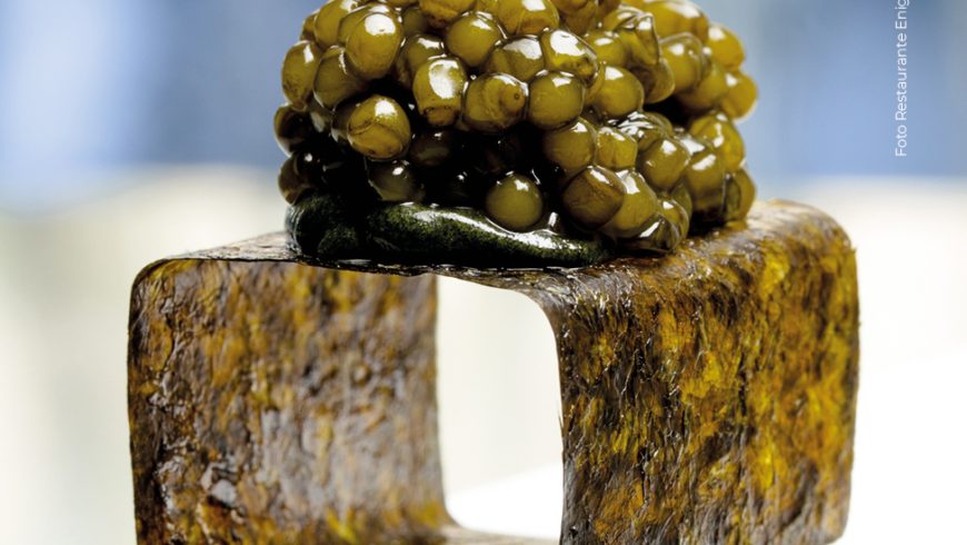 La XVI edición de los “Talleres Huesca la Magia de la Gastronomía ”, excelencia en formación para el sector.